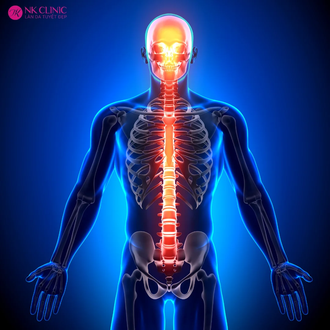 Bảo dưỡng hệ trục xương sống Bảo dưỡng hệ trục xương sống